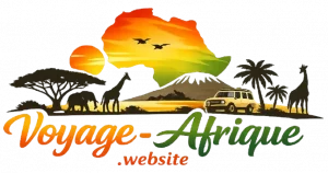 logo-voyage-afrique